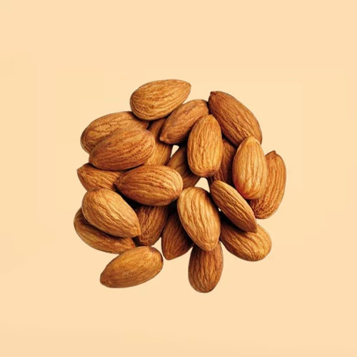 بادام تلخ کوهی(الوک)