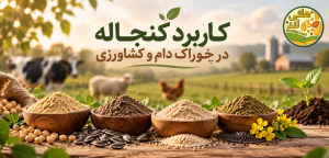 کاربرد کنجاله در خوراک دام و کشاورزی؛ کنجاله دانه‌های روغنی واقعاً چه کاربردی دارد؟